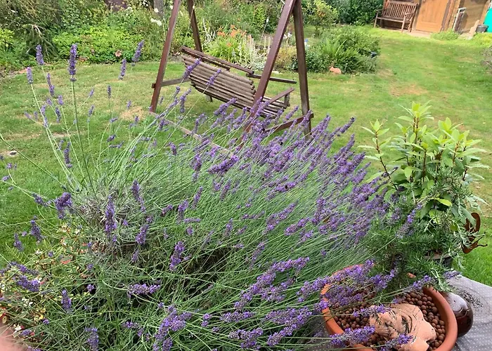 Ferienwohnung Schmidt Appartement